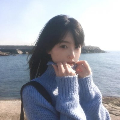安妮日记：始末